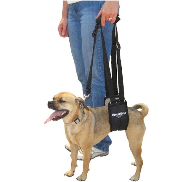 GingerLead Dog Support & Rehabilitation Harness