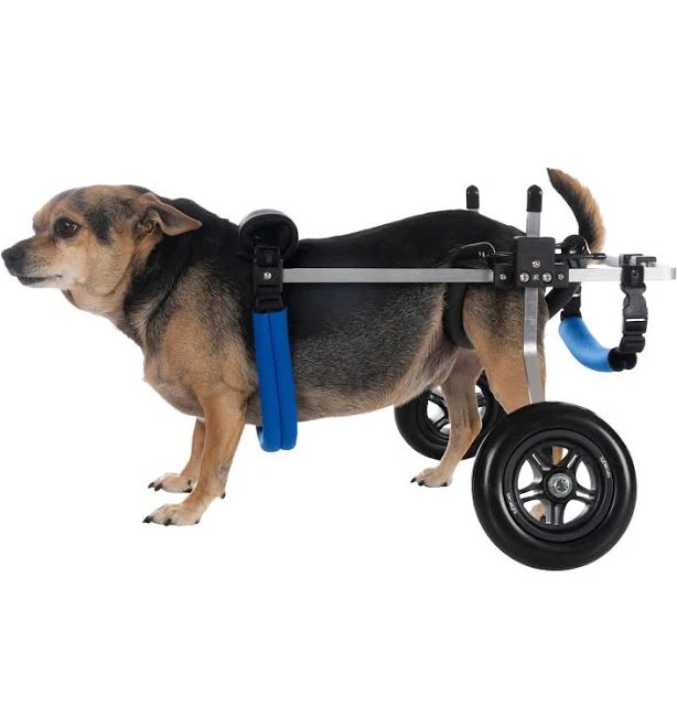 K9 Carts Rear Support Wheelchair