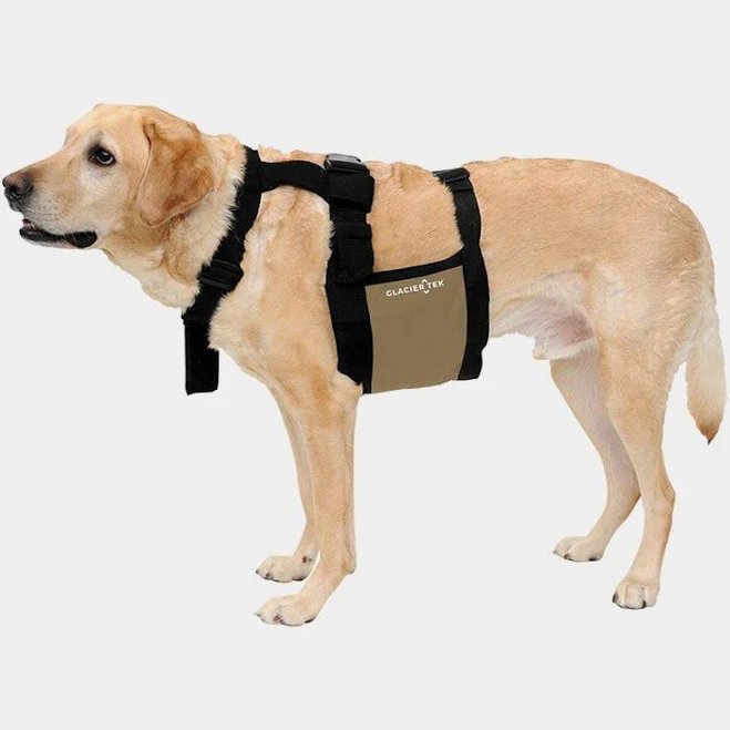 K9 Chill Dog Cooling Vest