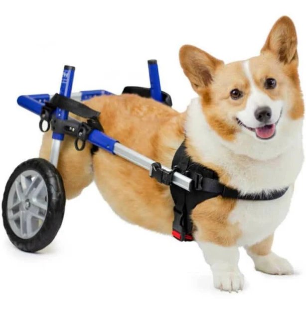 Walkin' Wheels Dog Wheelchair
